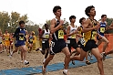 2010CIF XC BD2-1309
